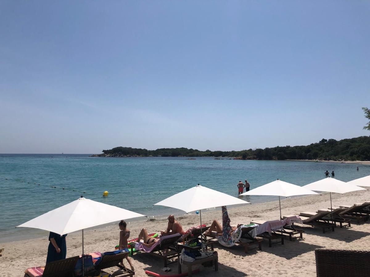 Villa Calme Luxueuse Et Proche Plage Saint-Cyprien Lecci Eksteriør billede