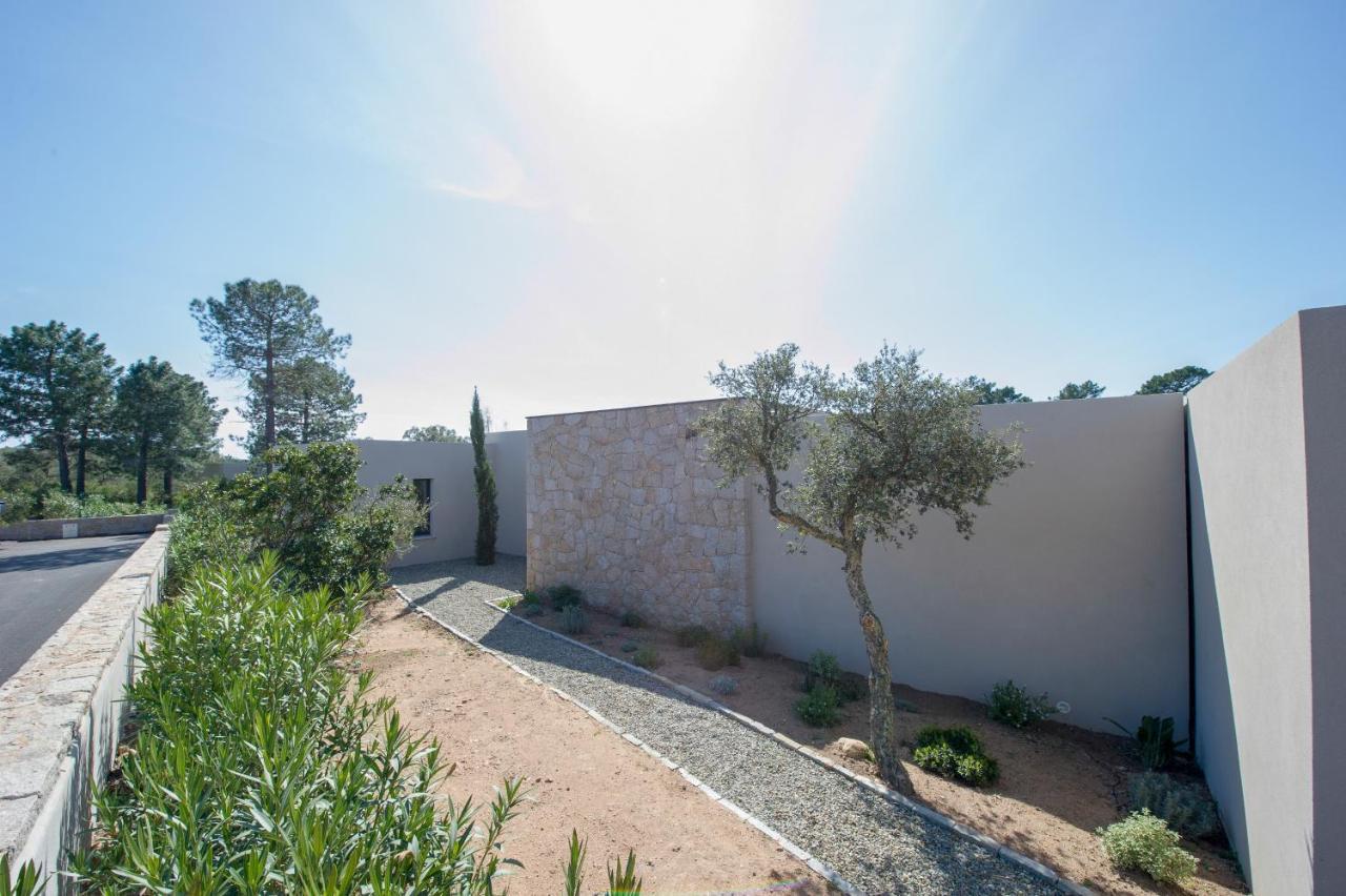 Villa Calme Luxueuse Et Proche Plage Saint-Cyprien Lecci Eksteriør billede